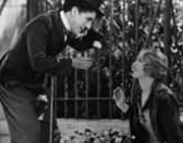 CINE COMÉDIA: LUZES DA CIDADE