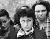 CINE CINEASTA: ROMA, CIDADE ABERTA