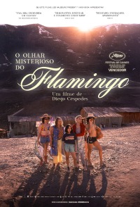 Cartaz do filme O OLHAR MISTERIOSO DO FLAMINGO